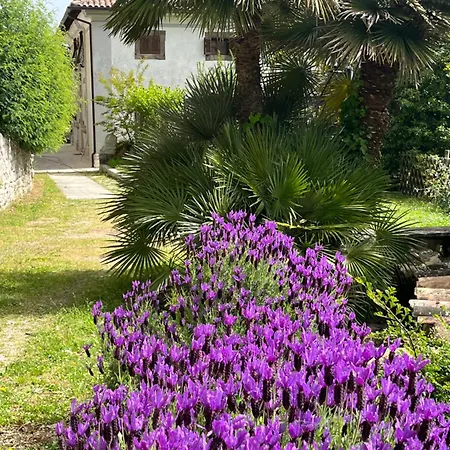 Allegrini Segni