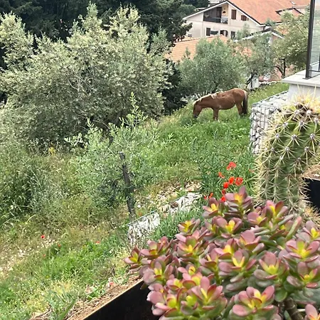 Allegrini Appartement