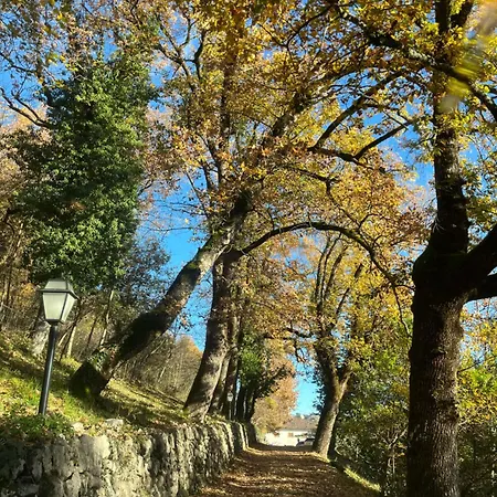 Allegrini