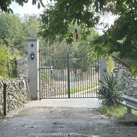 Allegrini * Segni