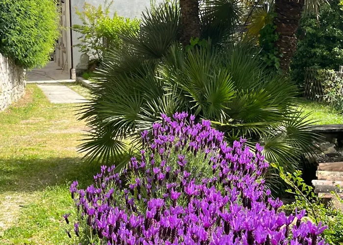 Allegrini Segni