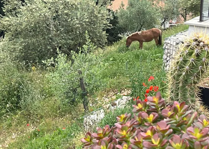 Allegrini Apartman